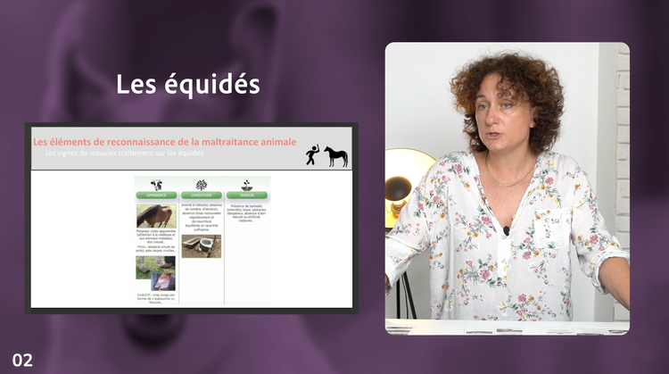 Studio de Vidéo LiveStream Professionnel avec assistance technique à Toulouse, 31000